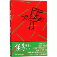 音像怪鸟傅星 著
