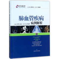 音像肺血管疾病病例解析沈节艳,黄岚 主编;葛均波 丛书总主编