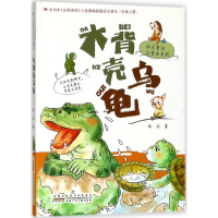 音像大背壳乌龟冰波 著