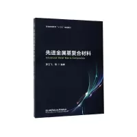 音像金属基复合材料(普通高等教育十三五规划教材)薛云飞 等 著