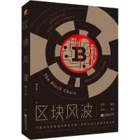 音像区块风波魏审磨 著