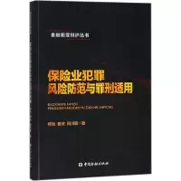 音像保险业犯罪风险防范与罪刑适用韩哲,曹波,田川颐 著