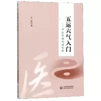 音像五运六气入门--中医思维构建初探王雷