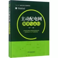 音像主动配电网规划与运行刘广一 主编