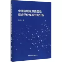 音像中国区域经济脆弱综合评价及其空间分析任崇强