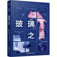 音像玻璃之后(智)安东尼娅·巴尼亚多斯