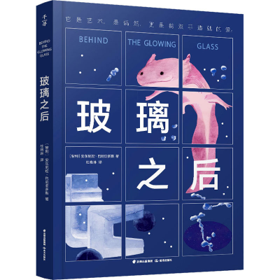 音像玻璃之后(智)安东尼娅·巴尼亚多斯