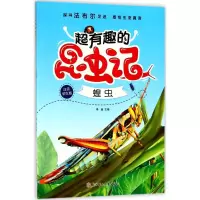 音像超有趣的昆虫记李超 主编