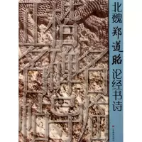 音像北魏郑道昭论经书诗/正楷名碑名帖导临林光旭
