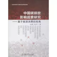 音像中国碳排放影响因素研究王永哲,马立平 著