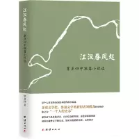 音像江汉春风起 覃亚四中短篇小说选覃亚四