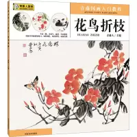 音像青藤国画入门教程 花鸟折枝青藤人 编