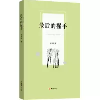 音像的握手徐世槐