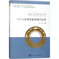 音像三十八位诗论家论现代汉诗王珂 主编