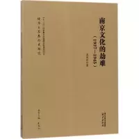 音像南京文化的劫难孟国祥 著