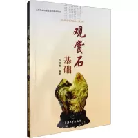 音像观赏石基础卢保奇 编