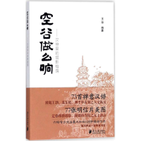 音像空谷做么响王导 编著