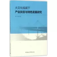 音像大文化视阈下产业扶贫与特色发展研究邓子纲 著