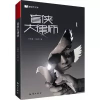 音像盲侠大律师冯栖潼,方春雨 著
