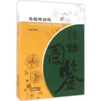 音像乌拉特后旗植物图鉴贾昆峰 主编