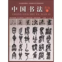 音像中国书法考级7-9级吕金柱王玺