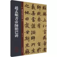 音像赵孟頫书帝师胆巴碑孙宝文 编