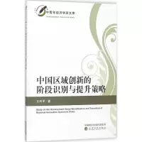 音像中国区域创新的阶段识别与提升策略王利军 著