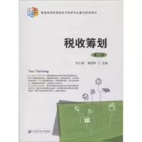 音像税收筹划应小陆,姜雅净 主编