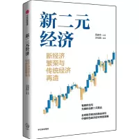音像新二元经济:新经济繁荣与传统经济再造周春生,汪祉良