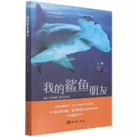音像我的鲨鱼朋友周芳