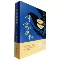 音像呼啸的原野汪群