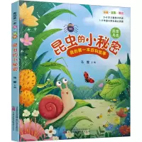 音像昆虫的小秘密马霞 编