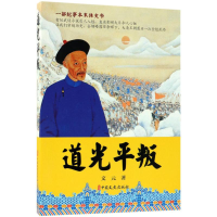 音像道光平叛文元 著