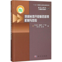 音像深部岩体开挖瞬态卸荷机制与效应卢文波 等 著