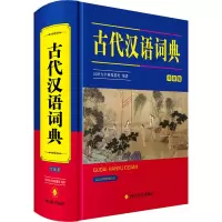 音像古代汉语词典 全新版汉语大字典编纂处 编