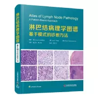 音像淋巴结病理学图谱:基于模式的诊断方法[美] Amy S. Duffield