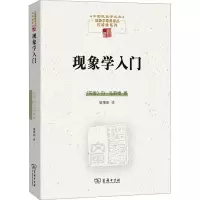 音像现象学入门(丹麦)丹·扎哈维