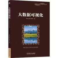 音像大数据可视化朱敏,甘启宏,邓韩彬 编