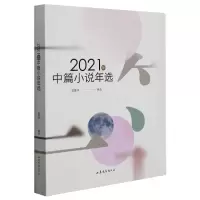 音像2021年中篇小说年选作者