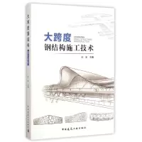 音像大跨度钢结构施工技术王宏