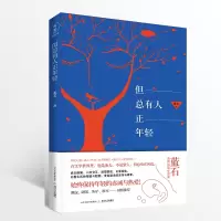 音像但总有人正年轻蓝石