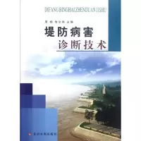 音像堤防病害诊断技术周杨//朱文仲