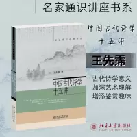 音像中国古代诗学十五讲王先霈