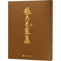 音像张大元画集张大元 绘