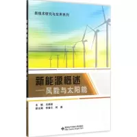 音像新能源概述王晓暄 编著