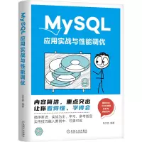 音像MySL应用实战与能调优张文亮 编著