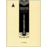 音像云南白族村寨调查简报孙华