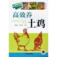 音像高效养土鸡(双色印刷)/高效养殖致富直通车魏刚才//张遂平