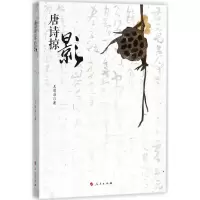 音像唐诗掠影王清淮 著