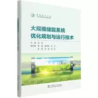 音像大规模储能系统优化规划与运行技术张澄,黄强,胡泽春,等